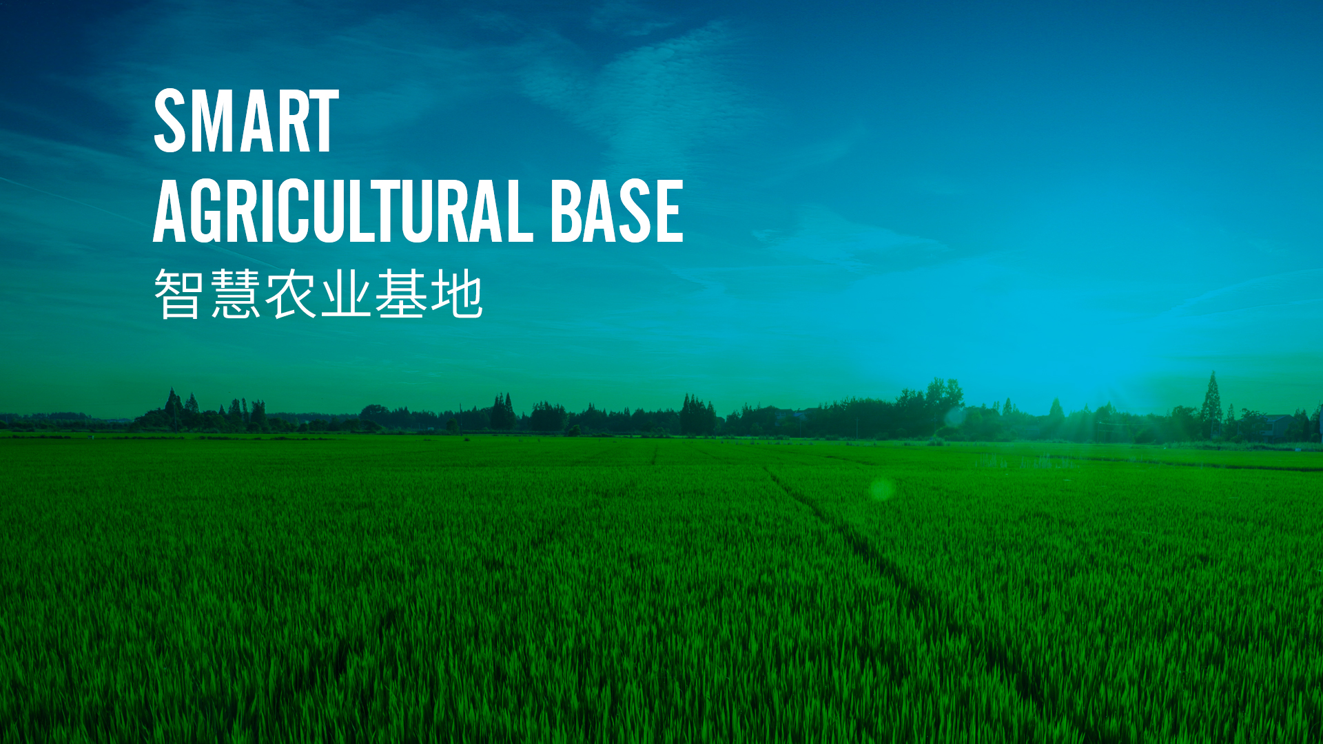 云联总部基地